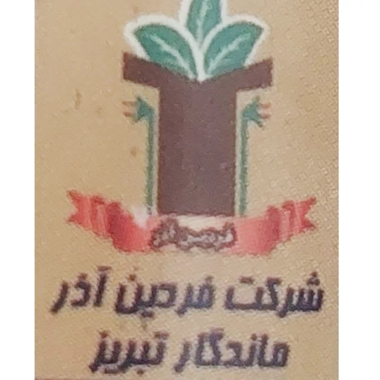 پماد ضد میخچه وزگیل گیاهی تبریز رستاک (دو عدد)