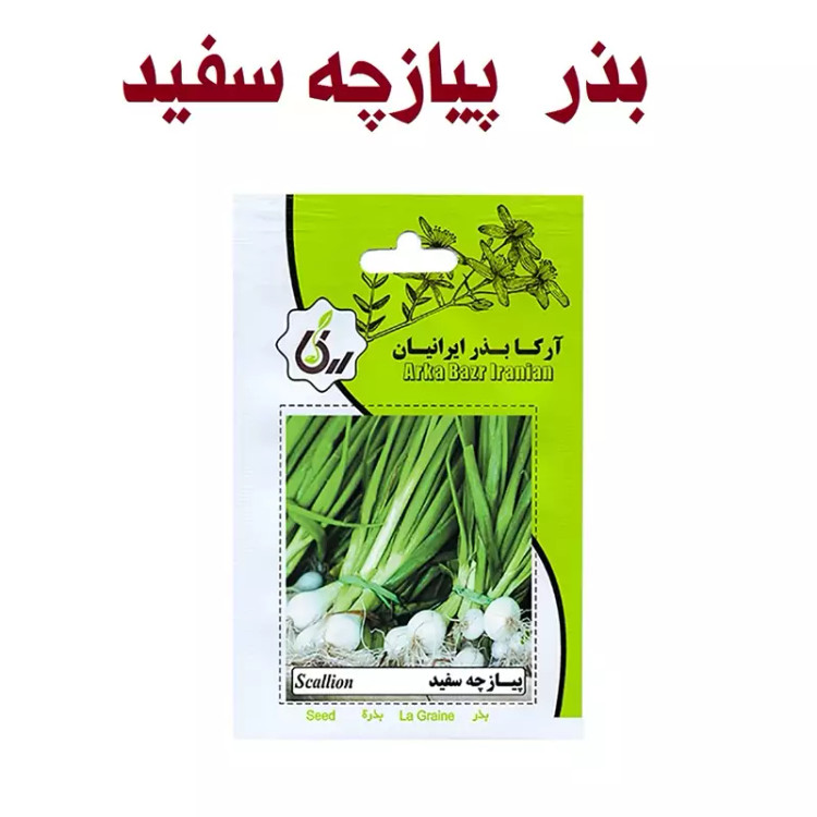 بذر پیازچه سفیدگیاهی تبریز رستاک (10گرمی)