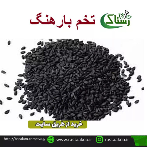 تخم بارهنگ اعلا خالص سنتی (50گرمی )