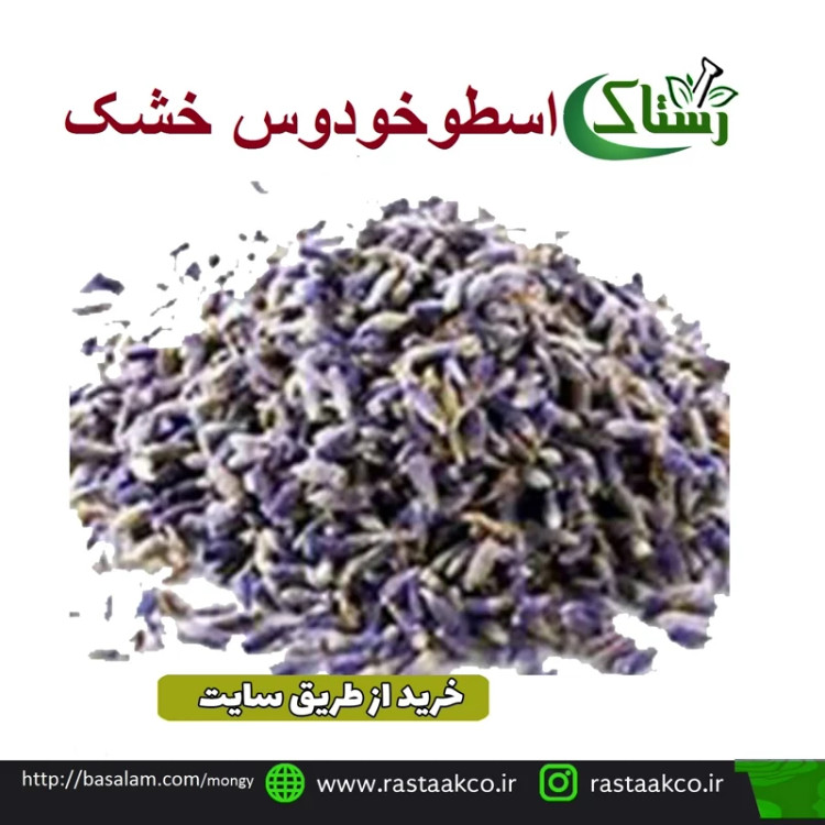 اسطوخودوس خشک اعلا تبریز رستاک (50گرمی)