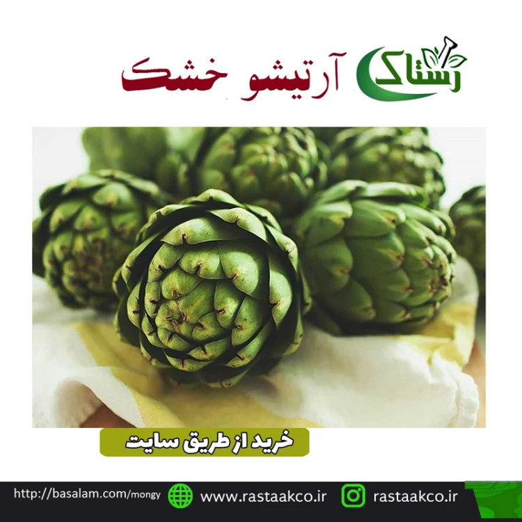 آرتیشو خشک اعلا تبریز رستاک (100گرمی)