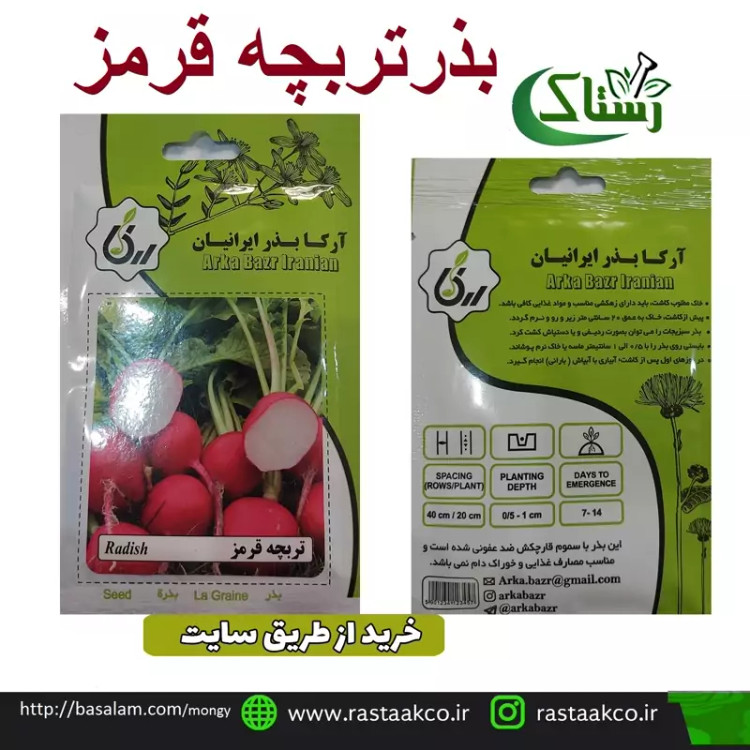 بذروتخم تربچه قرمز تبریز رستاک (10گرمی)