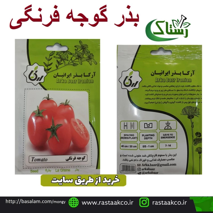 بذروتخم گوجه فرنگی تبریز رستاک (10گرمی)