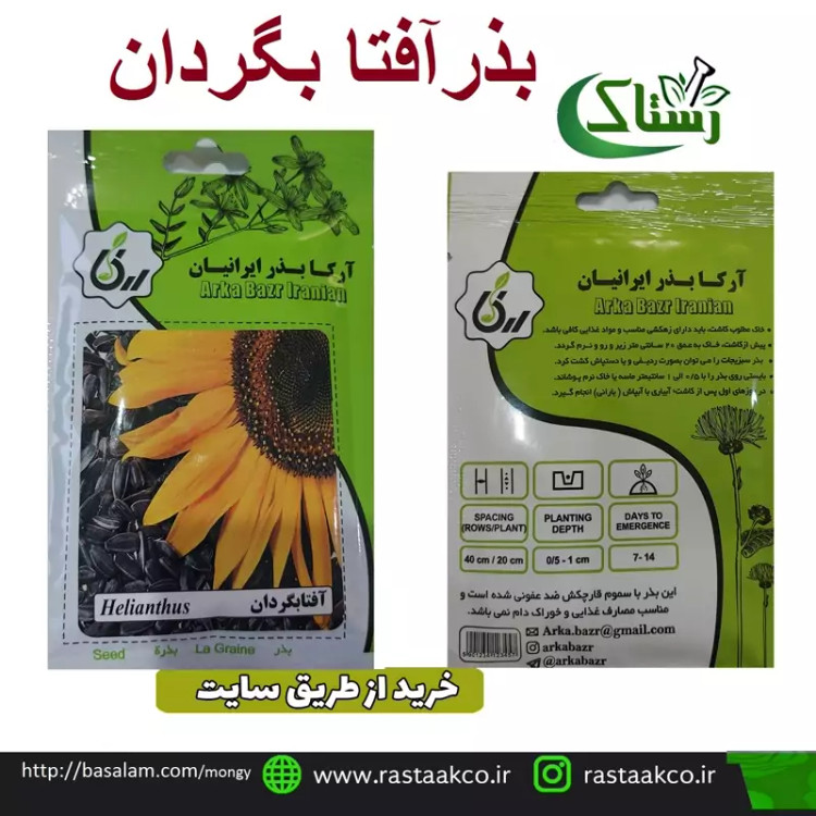 بذروتخم آفتا بگردان تبریز رستاک (10گرمی)