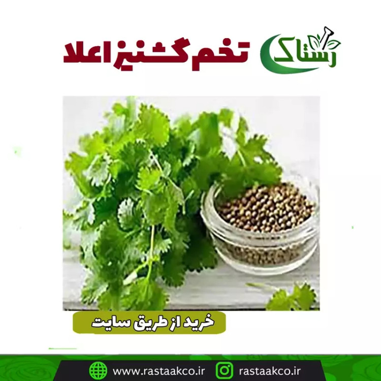 تخم گشنیز اعلا خالص سنتی (100 گرمی)