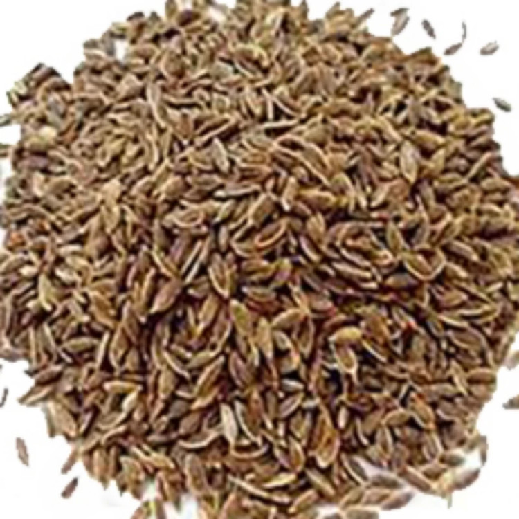 دانه کاسنی اعلا خالص سنتی(100 گرمی)