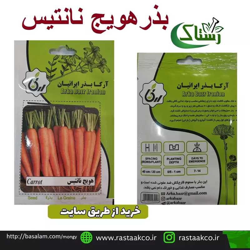 بذروتخم هویج نانتیس تبریز رستاک  (10گرمی)