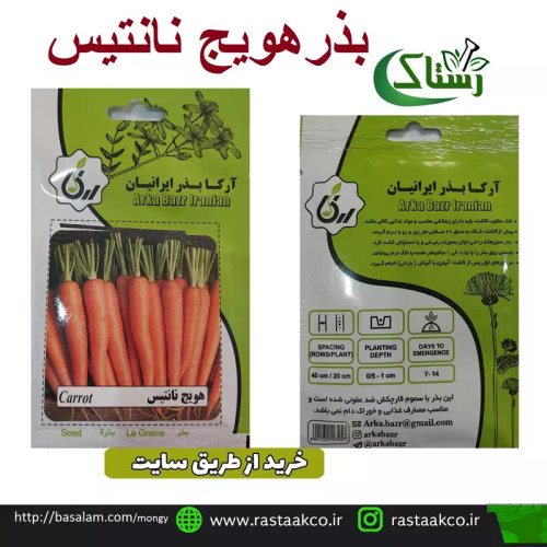 بذروتخم هویج نانتیس تبریز رستاک (10گرمی)