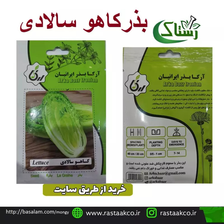 بذروتخم کاهو سالادی تبریز رستاک (10گرمی)