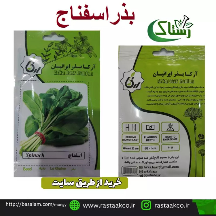 بذروتخم اسفناج تبریز رستاک (10گرمی)