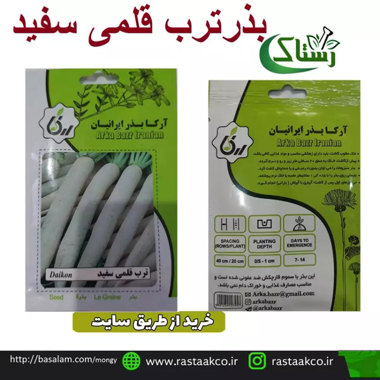 بذروتخم ترب قلمی سفید تبریز رستاک (10گرمی)