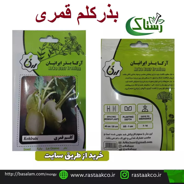 بذروتخم کلم قمری تبریز رستاک (10گرمی)