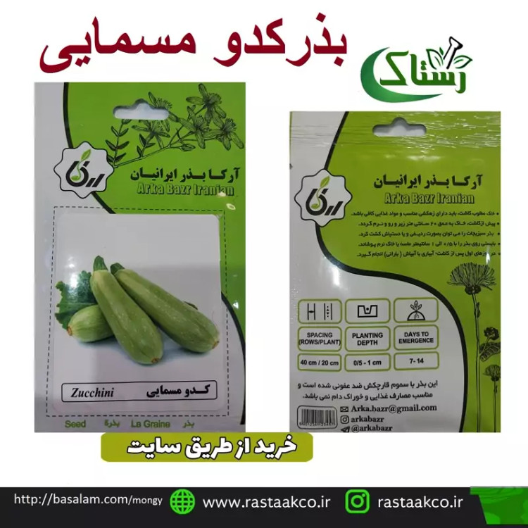 بذروتخم کدو مسمایی تبریز رستاک (10گرمی)