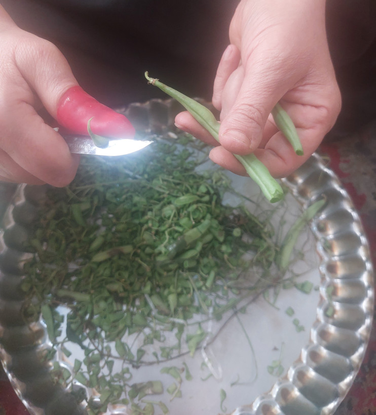 دستکش انگشتی تبریز رستاک (2عدد)