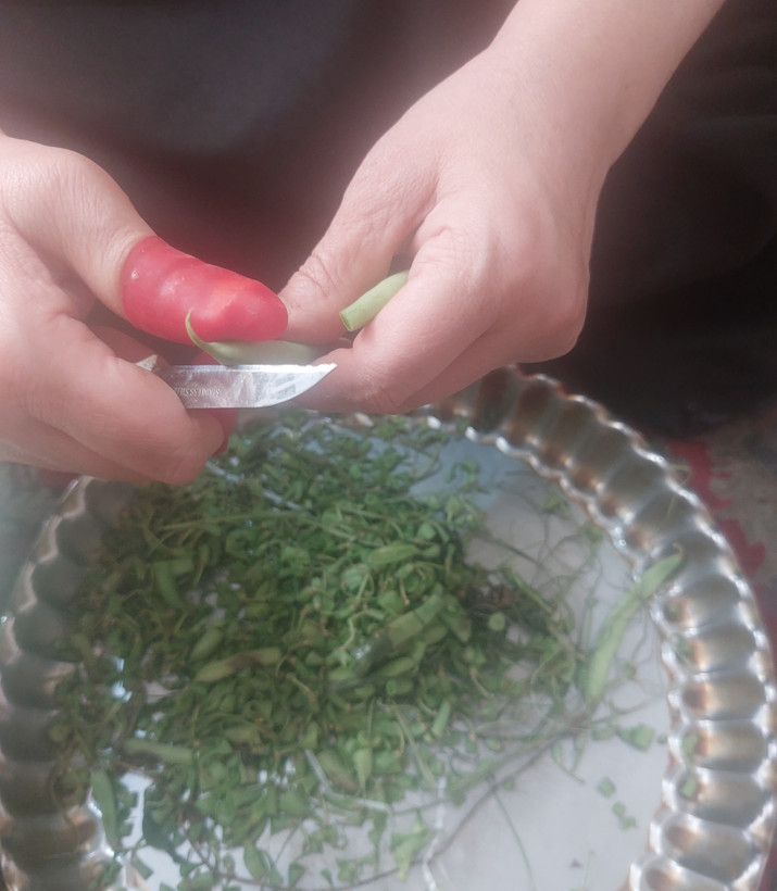 دستکش انگشتی تبریز رستاک (2عدد)
