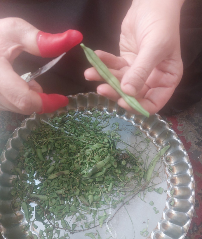 دستکش انگشتی تبریز رستاک (2عدد)