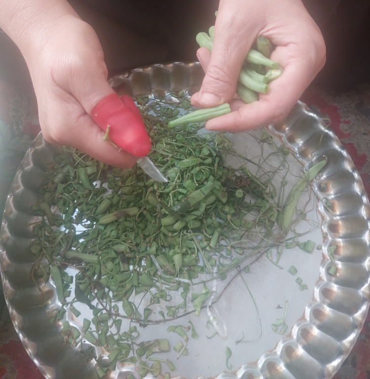 دستکش انگشتی تبریز رستاک (2عدد)